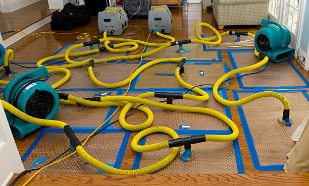 Professional Basement Flood Cleanup technician working in Zelienople, PA